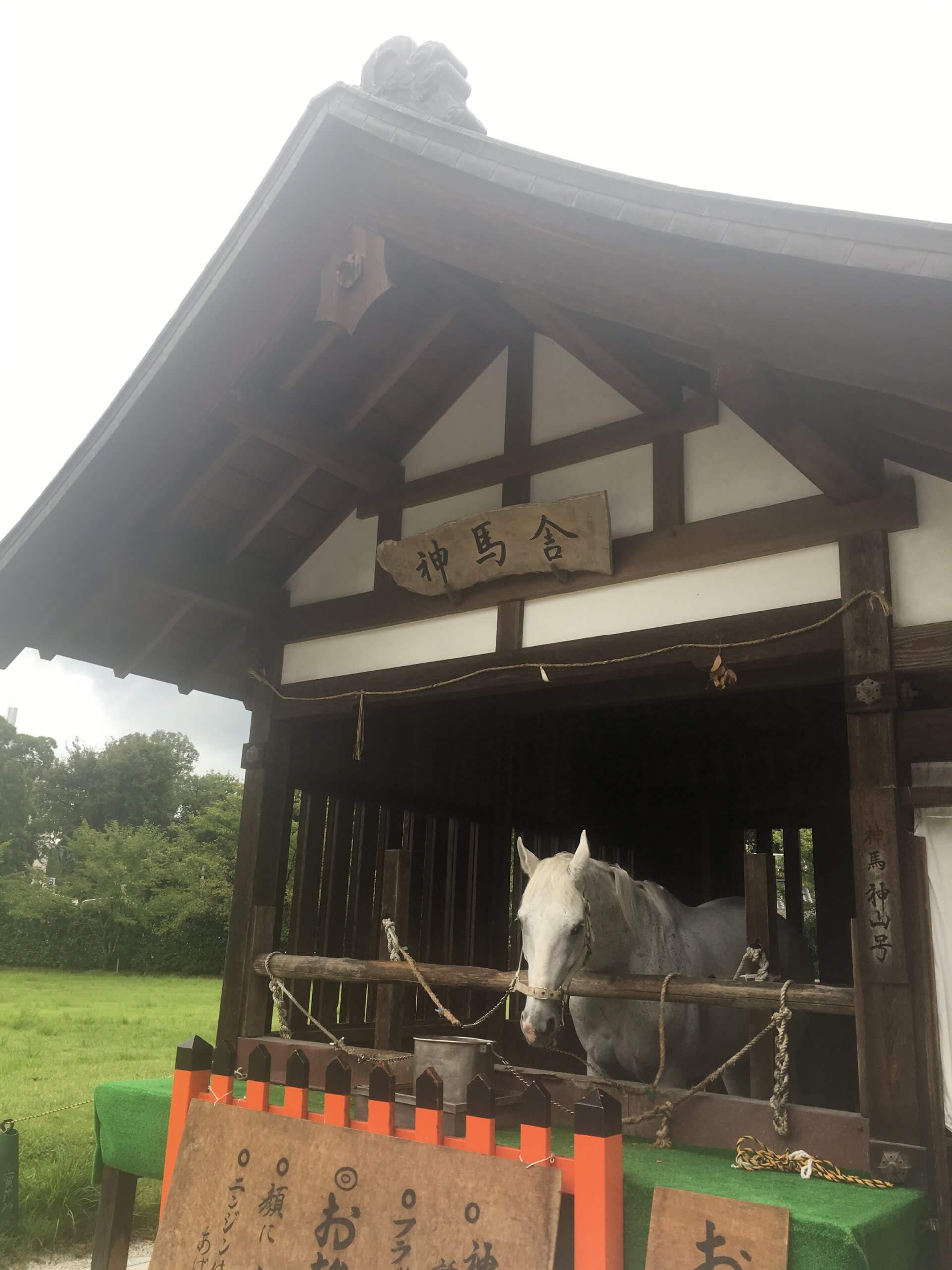 Sacred horse at Kamigamo Shrine in Kyoto